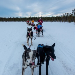 finnland rundreise 2025_75